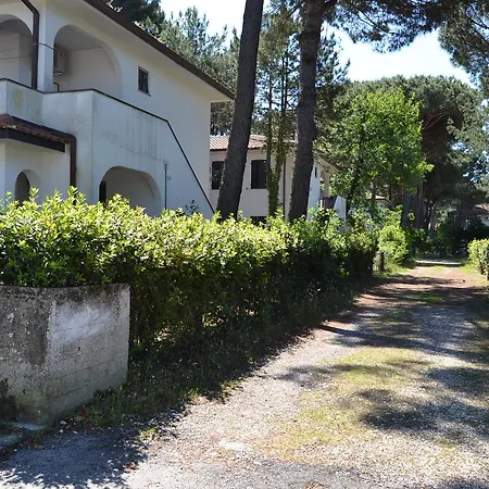 Web 51 * Llido Degli Estensi